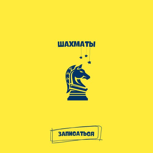 Шахматы
